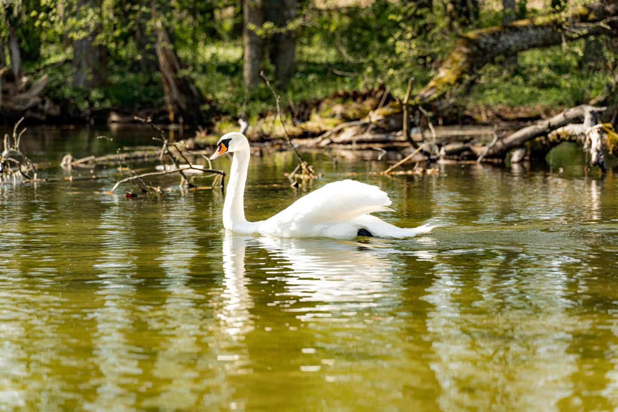 Karczma Zacisze Bed & Breakfast Krutyn Bagian luar foto